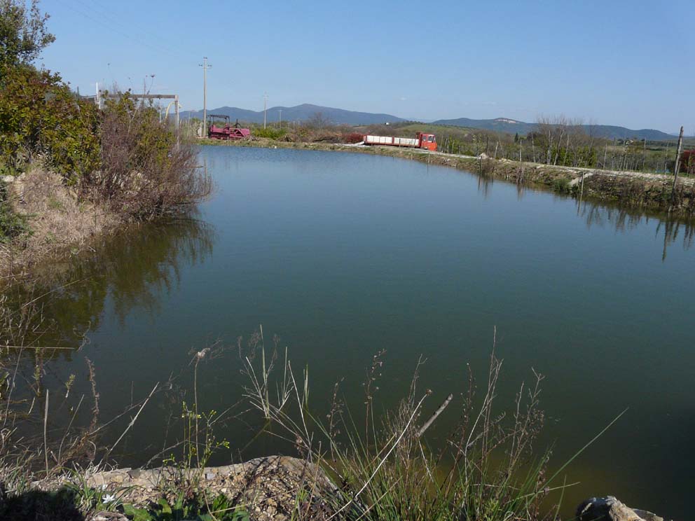 Lago artificiale da naturalizzare in piena Maremma!